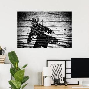 fly back poster