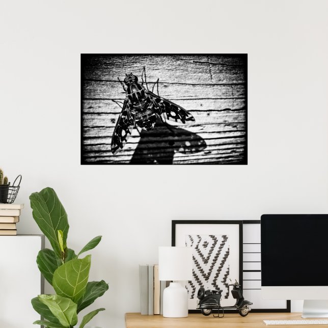 fly back poster (Home Office)