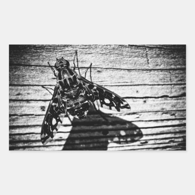 fly back sticker (Front)