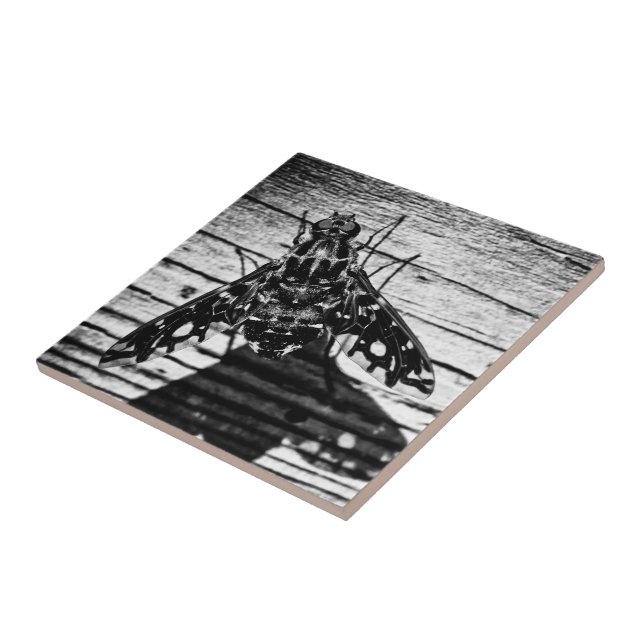 fly back tile (Side)