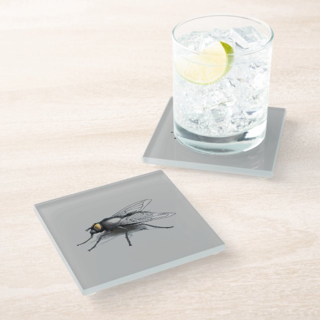 Fly Buddy giant fly grey glass coaster (Angled)