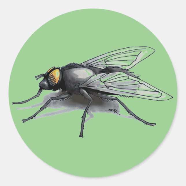 Fly Buddy green large round stickers (Front)