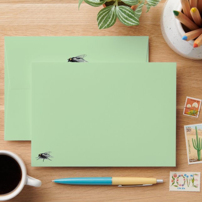 Fly Buddy green standard envelopes front and back (Desk)