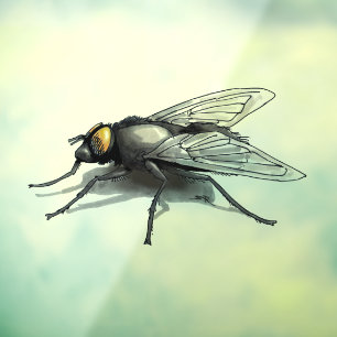Fly Buddy small shadow window cling back stick