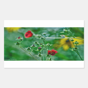 Fly-By in the Garden Sticker