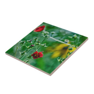 Fly-By in the Garden Tile