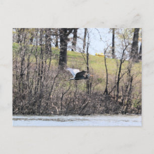Fly by postcard