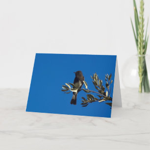 Fly Catcher Perched Card