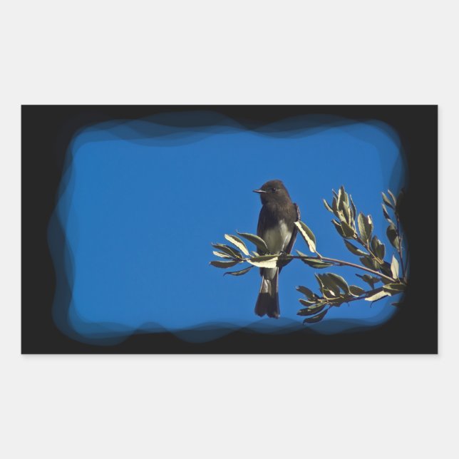 Fly Catcher Sticker (Front)