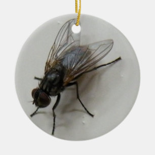 Fly Ceramic Ornament