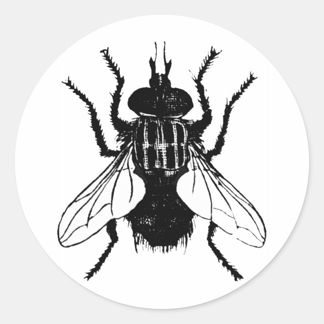FLY CLASSIC ROUND STICKER (Front)