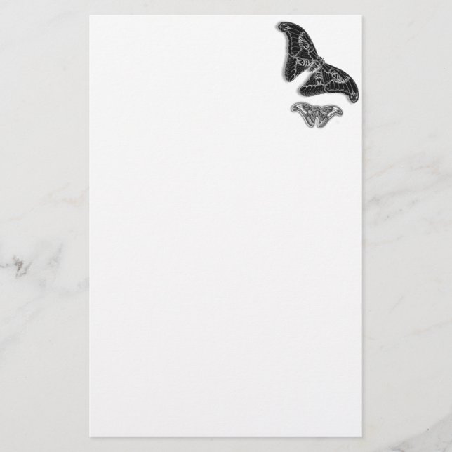 Fly Fancy Stationery (Front)