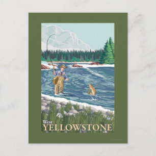 Fly Fisherman - West Yellowstone, Montana Postcard