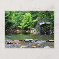 Fly Fishing Day Dream 