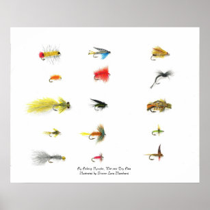 Fly Fishing, Fly Fishing Nymphs, Wet and Dry Fl... Poster