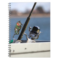 Fly Fishing