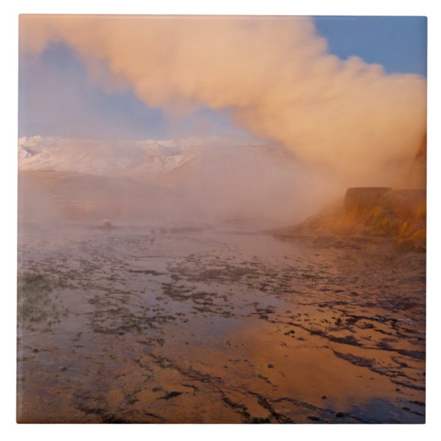 Fly Geyser in the Black Rock Desert Tile (Front)