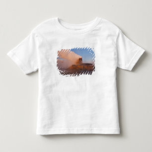 Fly Geyser with snow capped Granite Range Toddler T-shirt