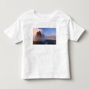 Fly Geyser with snow capped Granite Range Toddler T-shirt