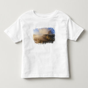 Fly Geyser with snow capped Granite Range Toddler T-shirt