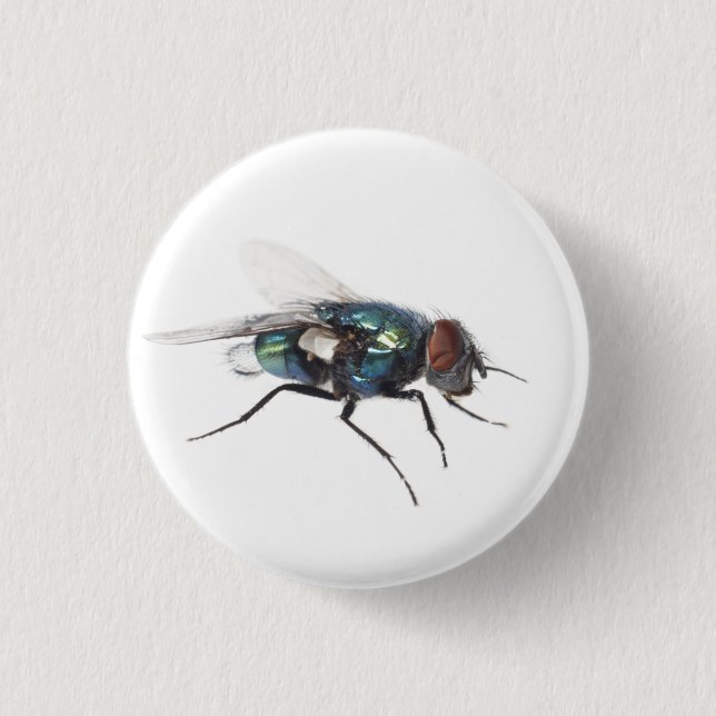 Fly insect 1 inch round button (Front)