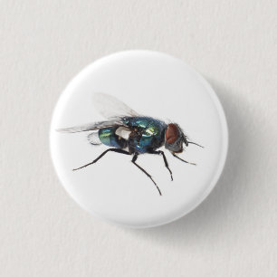 Fly insect 1 inch round button