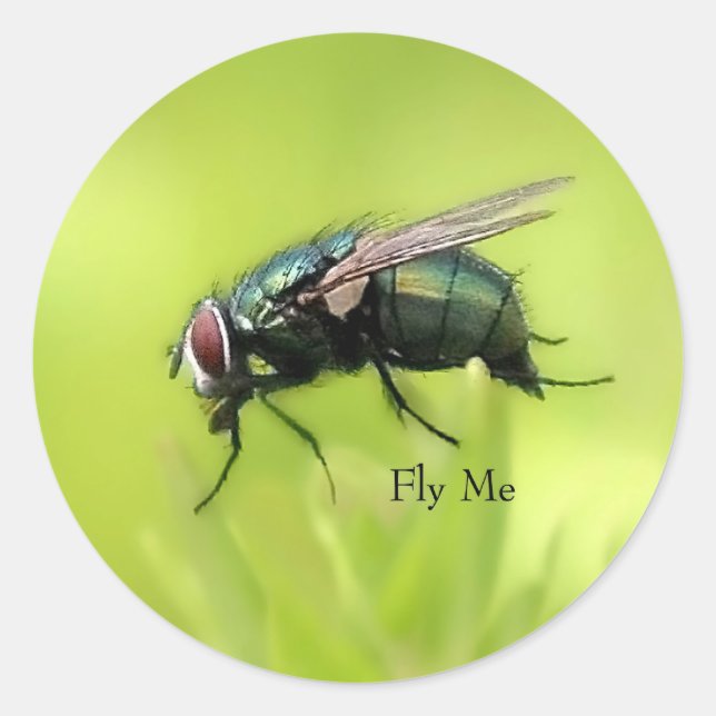 Fly Me Sticker (Front)