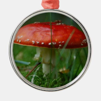 fly metal ornament