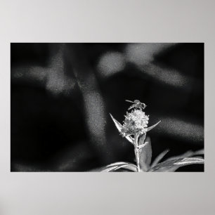 Fly only gold poster