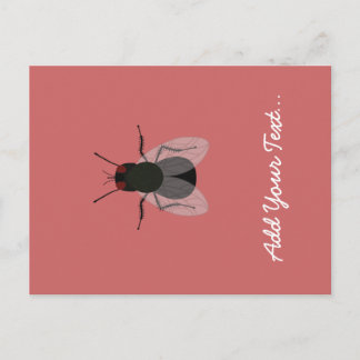 Fly Postcard