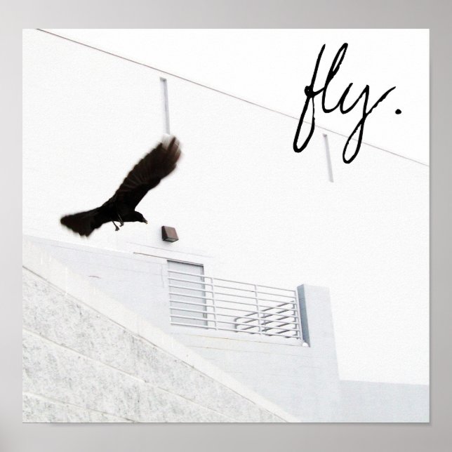fly. poster (Front)