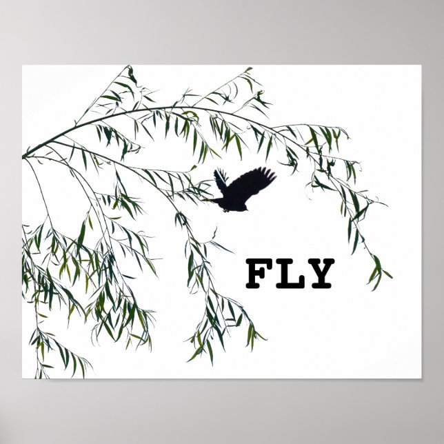 Fly Poster (Front)