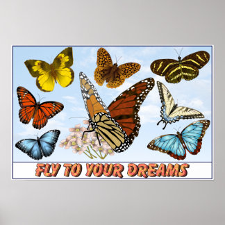 Fly To Your Dreams Poster