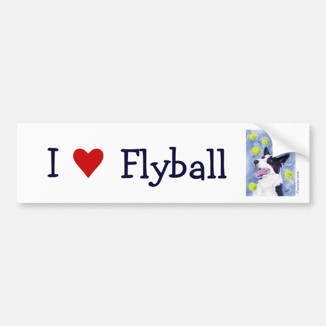 Flyball Border Collie Bumper Sticker (Front)