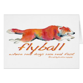 Flyball real dogs