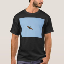 Flycatcher