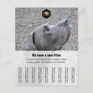 Flyer "Seller"