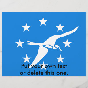 Flyer with Flag of Corpus Christi, USA