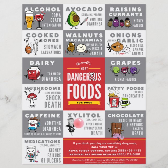 Flyers- The World's Most Dangerous Food For Dogs Flyer (Front)