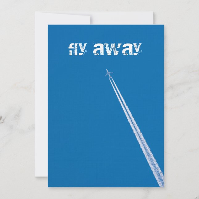 Flying airplane (Front)