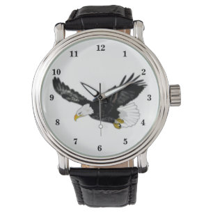 Flying American Bald Eagle Watch