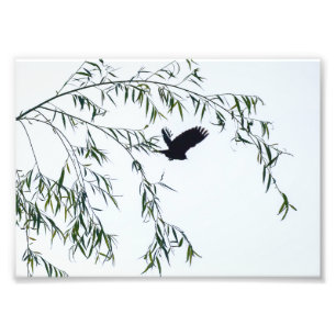 Flying Away Photo Print