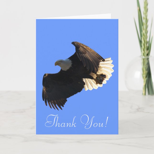 Flying Bald Eagle Free Spirit Merci Cartes (Devant)