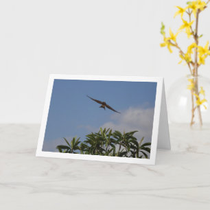 Flying Barn Swallow Portrait Card