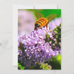 Flying Bee  5 x 7  Expression/Greeting Card