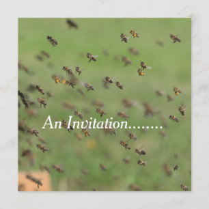 Flying Bees - Personalised Party Invitation