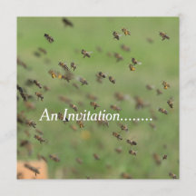 Flying Bees - Personalized Party Invitation