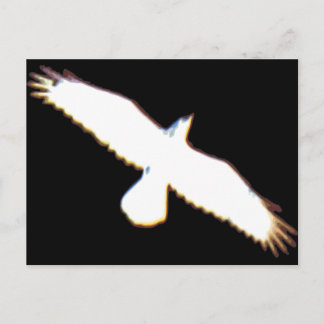 Flying Bird Silhouette Postcard