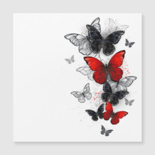 Flying Black and Red Morpho Butterflies