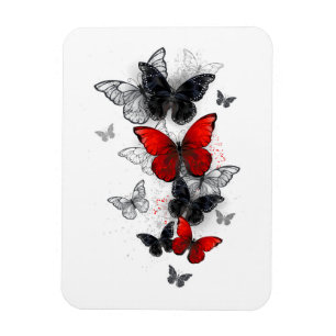 Flying Black and Red Morpho Butterflies Magnet